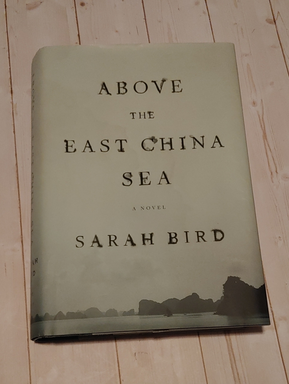 Above The East China Sea Adult Fiction Book by Sarah Bird